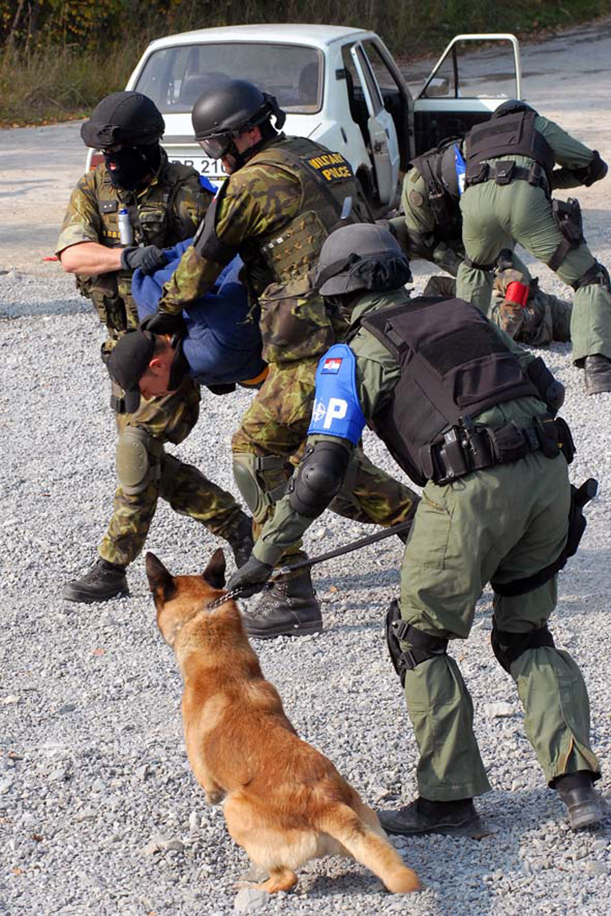 https://www.morh.hr/wp-content/gallery/black-bear-2009/black_bear_22092009_13.jpg