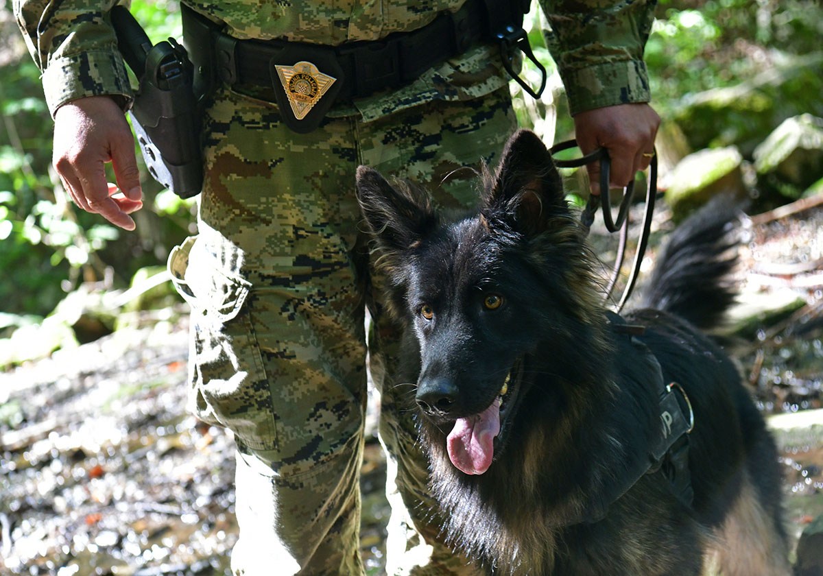 https://www.morh.hr/wp-content/gallery/hrvatska-vojska-sa-sluzbenim-psima-u-humanitarnoj-utrci-na-medvednici/pet_tracing_21092019_02.jpg