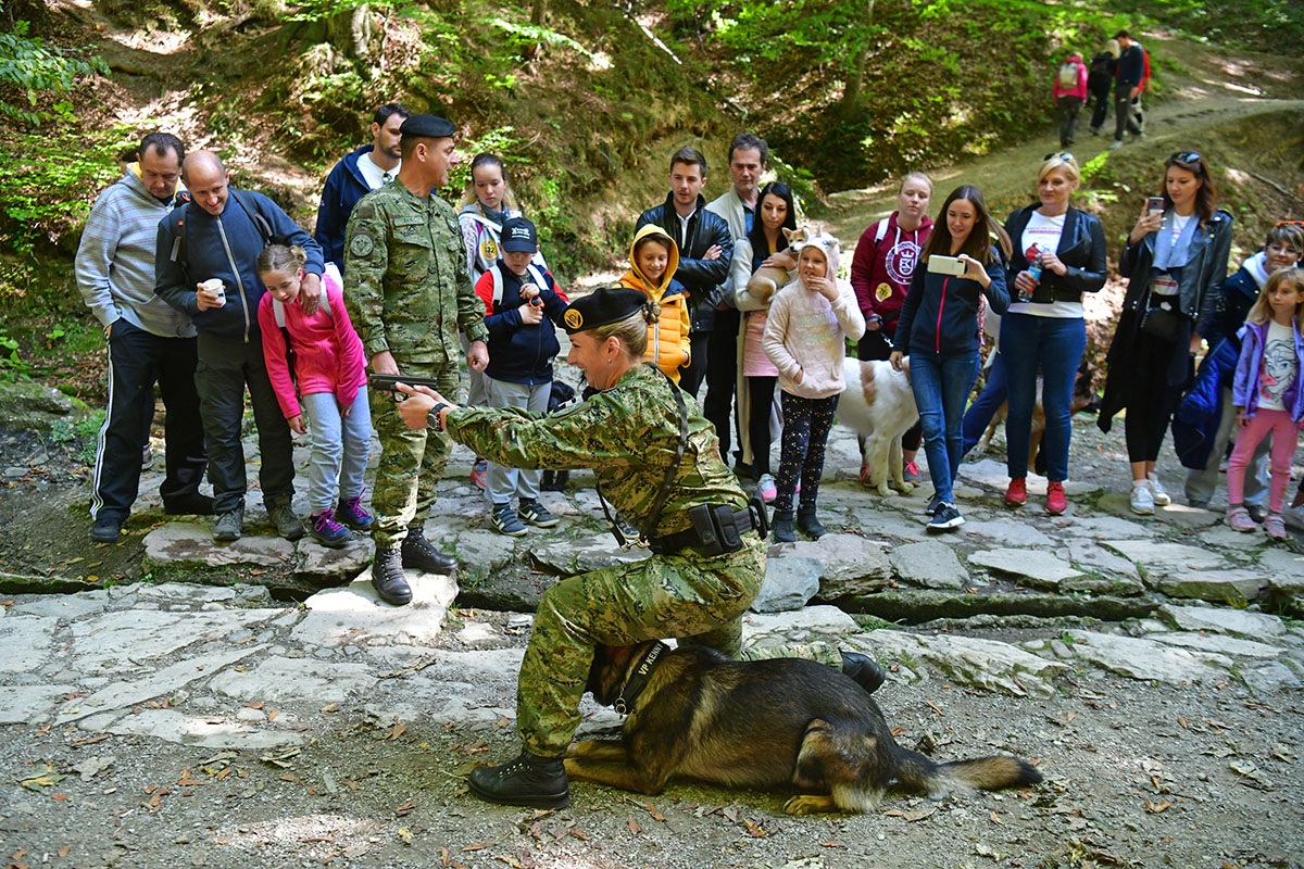 https://www.morh.hr/wp-content/gallery/hrvatska-vojska-sa-sluzbenim-psima-u-humanitarnoj-utrci-na-medvednici/pet_tracing_21092019_03.jpg