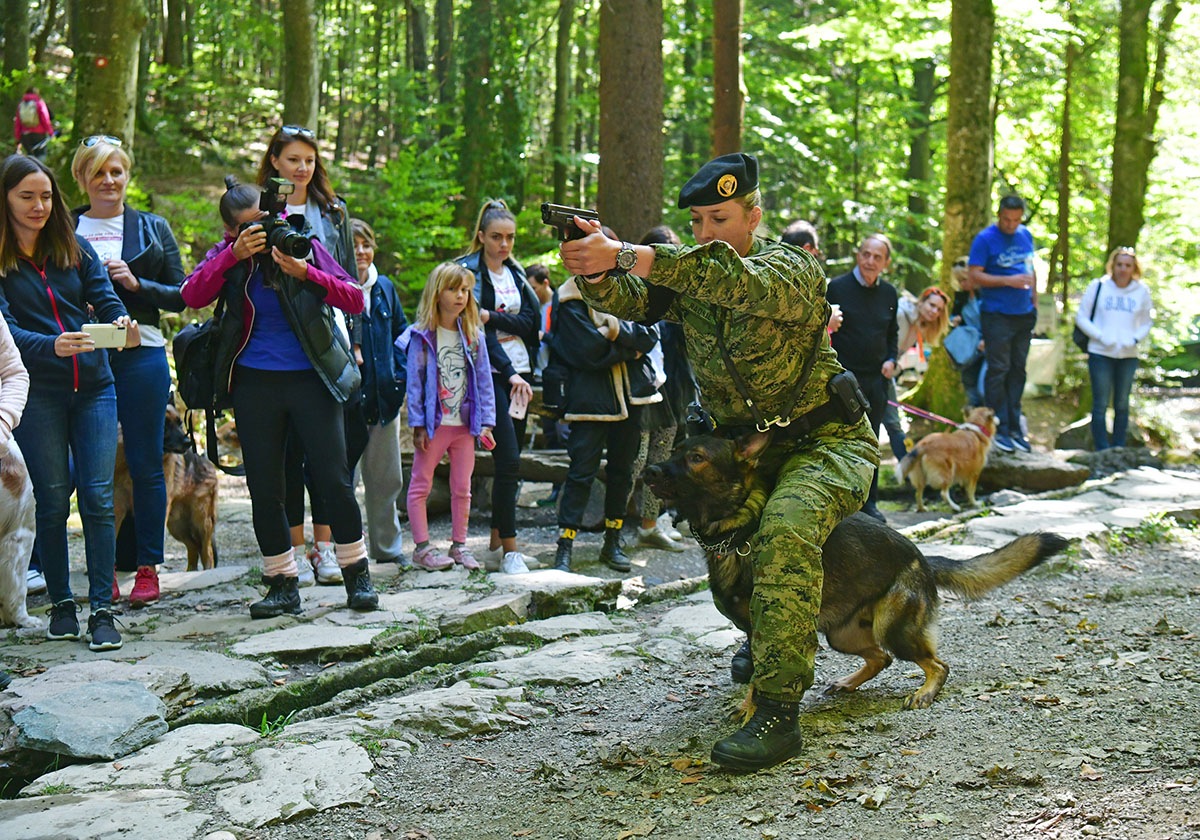 https://www.morh.hr/wp-content/gallery/hrvatska-vojska-sa-sluzbenim-psima-u-humanitarnoj-utrci-na-medvednici/pet_tracing_21092019_04.jpg