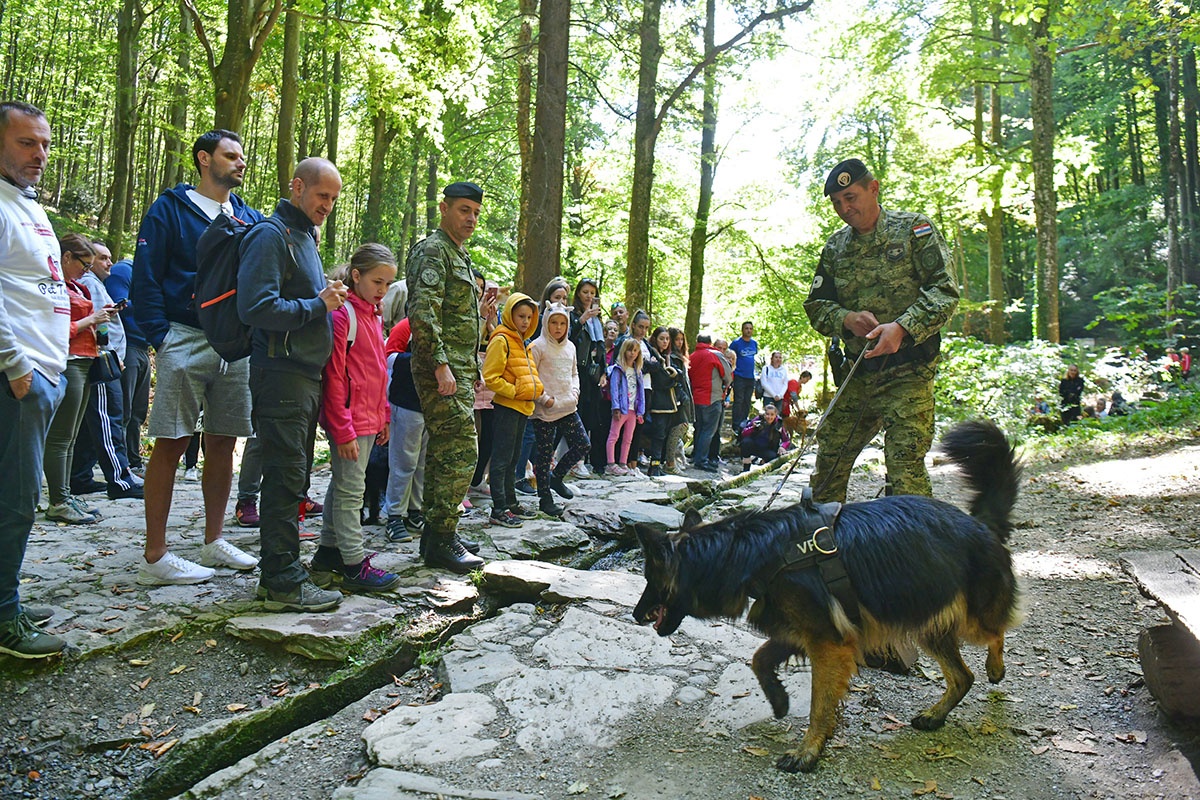 https://www.morh.hr/wp-content/gallery/hrvatska-vojska-sa-sluzbenim-psima-u-humanitarnoj-utrci-na-medvednici/pet_tracing_21092019_06.jpg