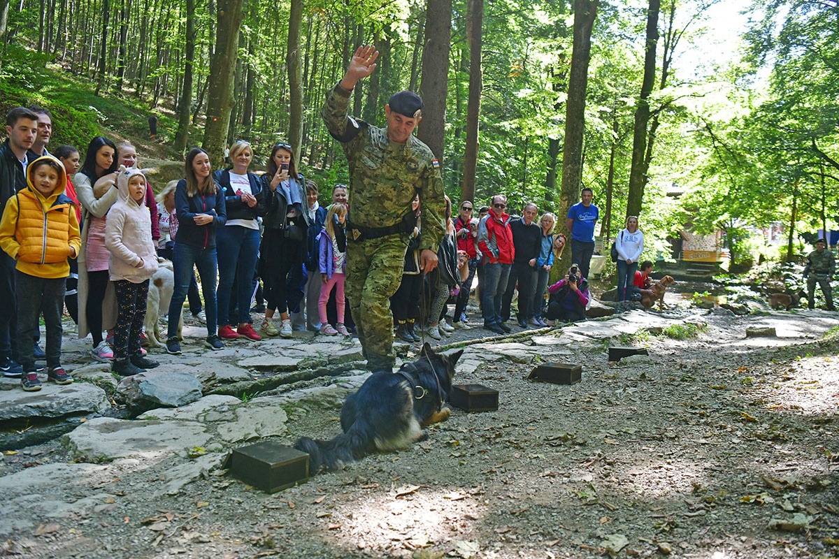 https://www.morh.hr/wp-content/gallery/hrvatska-vojska-sa-sluzbenim-psima-u-humanitarnoj-utrci-na-medvednici/pet_tracing_21092019_07.jpg
