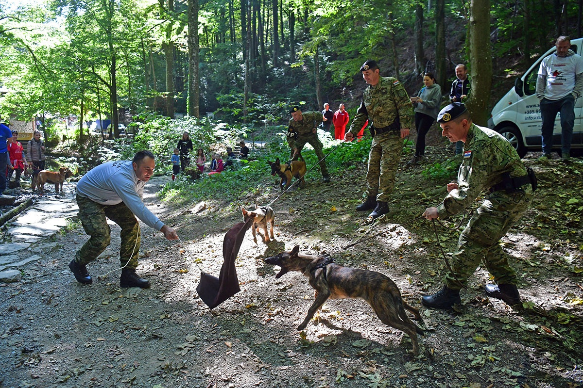 https://www.morh.hr/wp-content/gallery/hrvatska-vojska-sa-sluzbenim-psima-u-humanitarnoj-utrci-na-medvednici/pet_tracing_21092019_09.jpg
