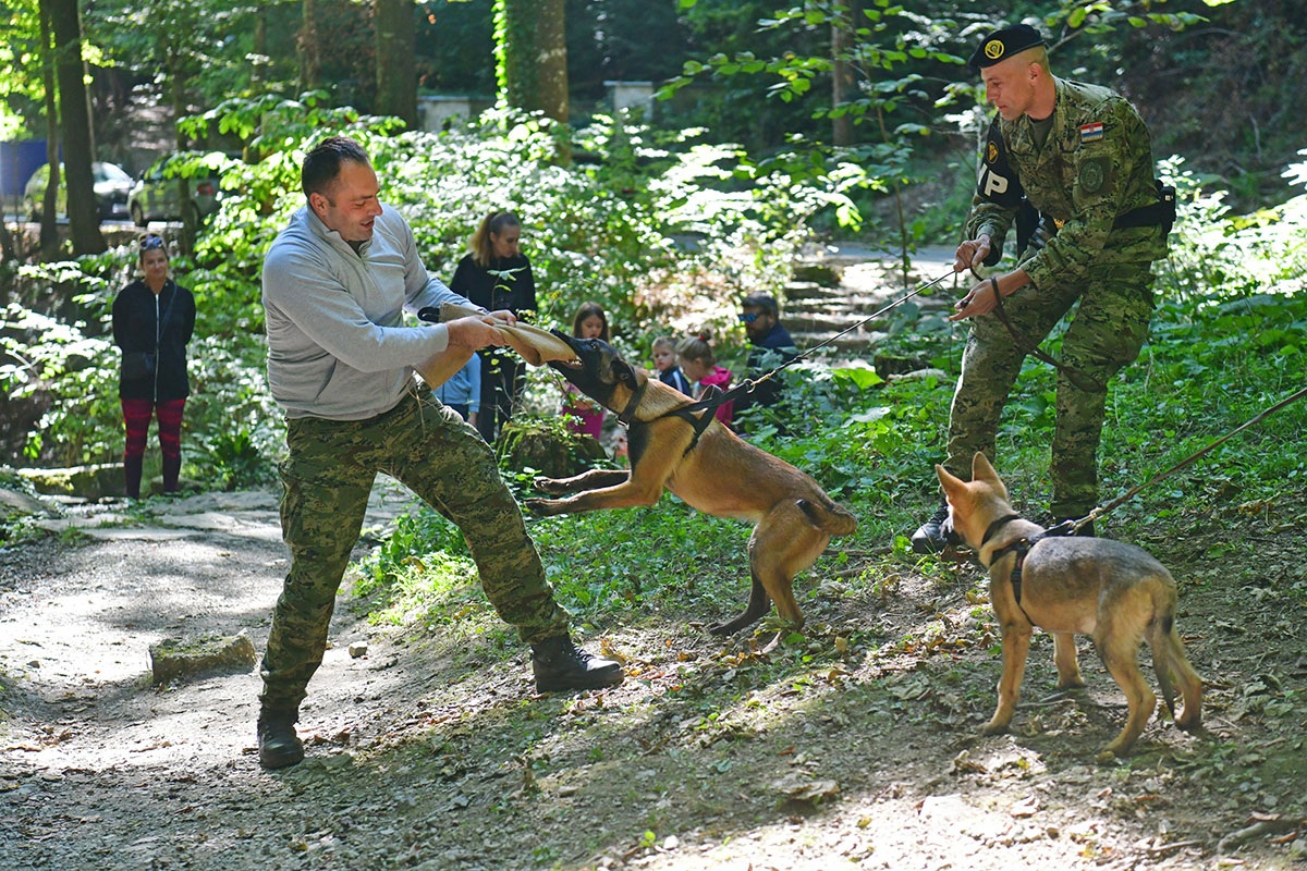 https://www.morh.hr/wp-content/gallery/hrvatska-vojska-sa-sluzbenim-psima-u-humanitarnoj-utrci-na-medvednici/pet_tracing_21092019_11.jpg