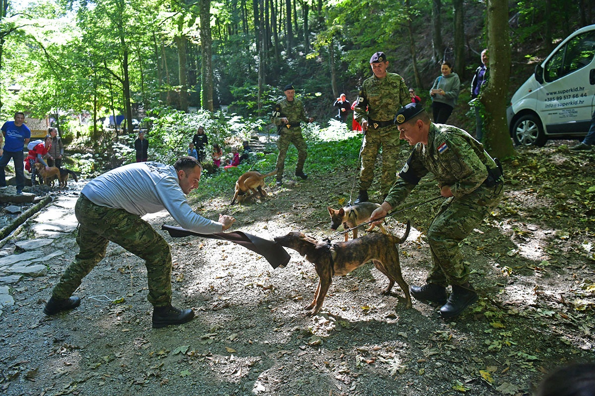 https://www.morh.hr/wp-content/gallery/hrvatska-vojska-sa-sluzbenim-psima-u-humanitarnoj-utrci-na-medvednici/pet_tracing_21092019_12.jpg