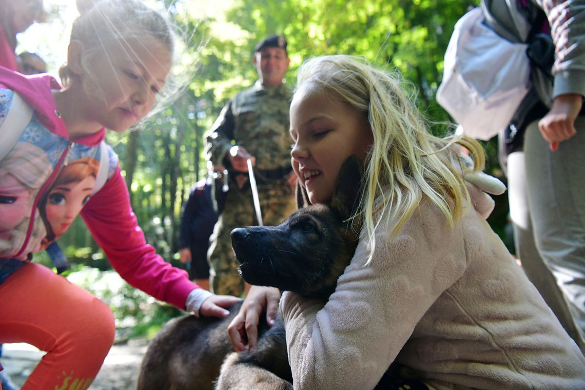 https://www.morh.hr/wp-content/gallery/hrvatska-vojska-sa-sluzbenim-psima-u-humanitarnoj-utrci-na-medvednici/pet_tracing_21092019_18.jpg