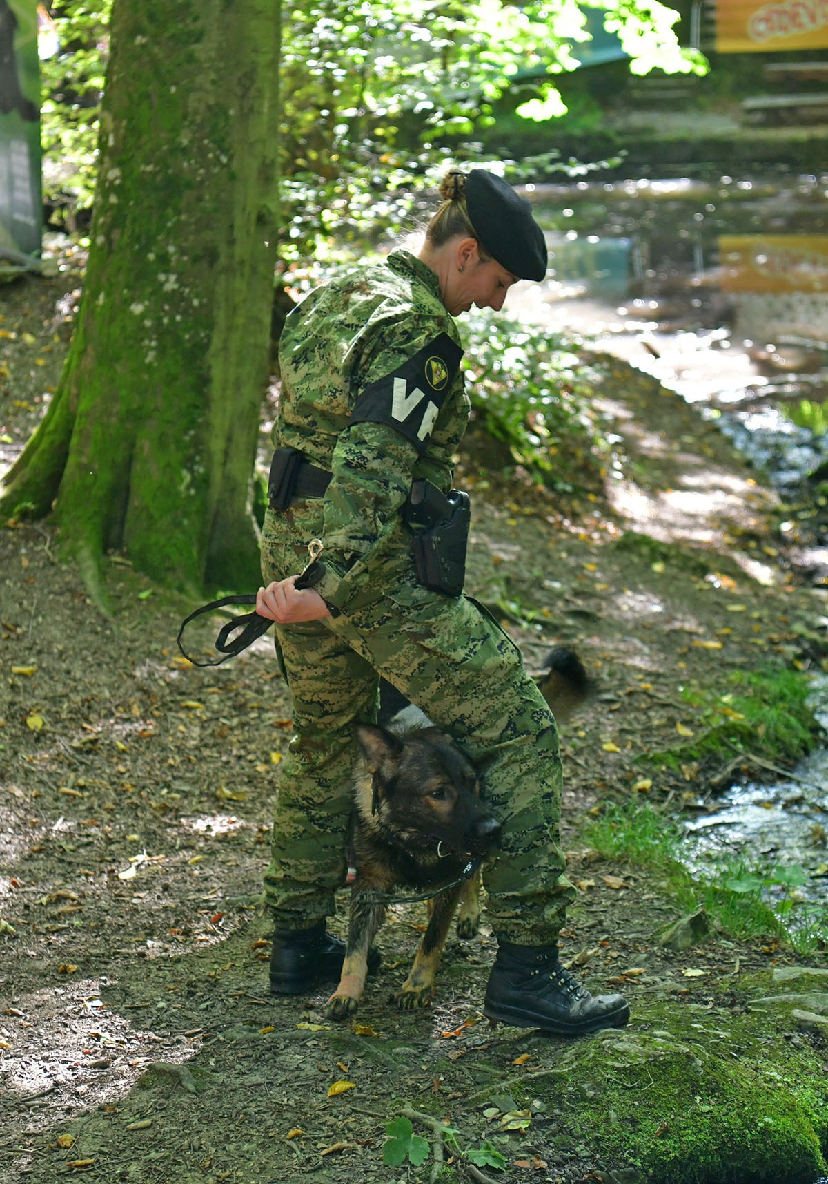https://www.morh.hr/wp-content/gallery/hrvatska-vojska-sa-sluzbenim-psima-u-humanitarnoj-utrci-na-medvednici/pet_tracing_21092019_22.jpg