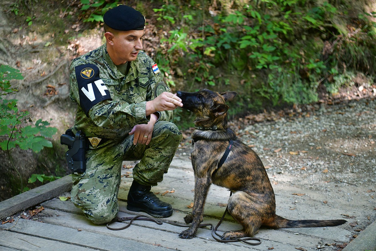 https://www.morh.hr/wp-content/gallery/hrvatska-vojska-sa-sluzbenim-psima-u-humanitarnoj-utrci-na-medvednici/pet_tracing_21092019_26.jpg