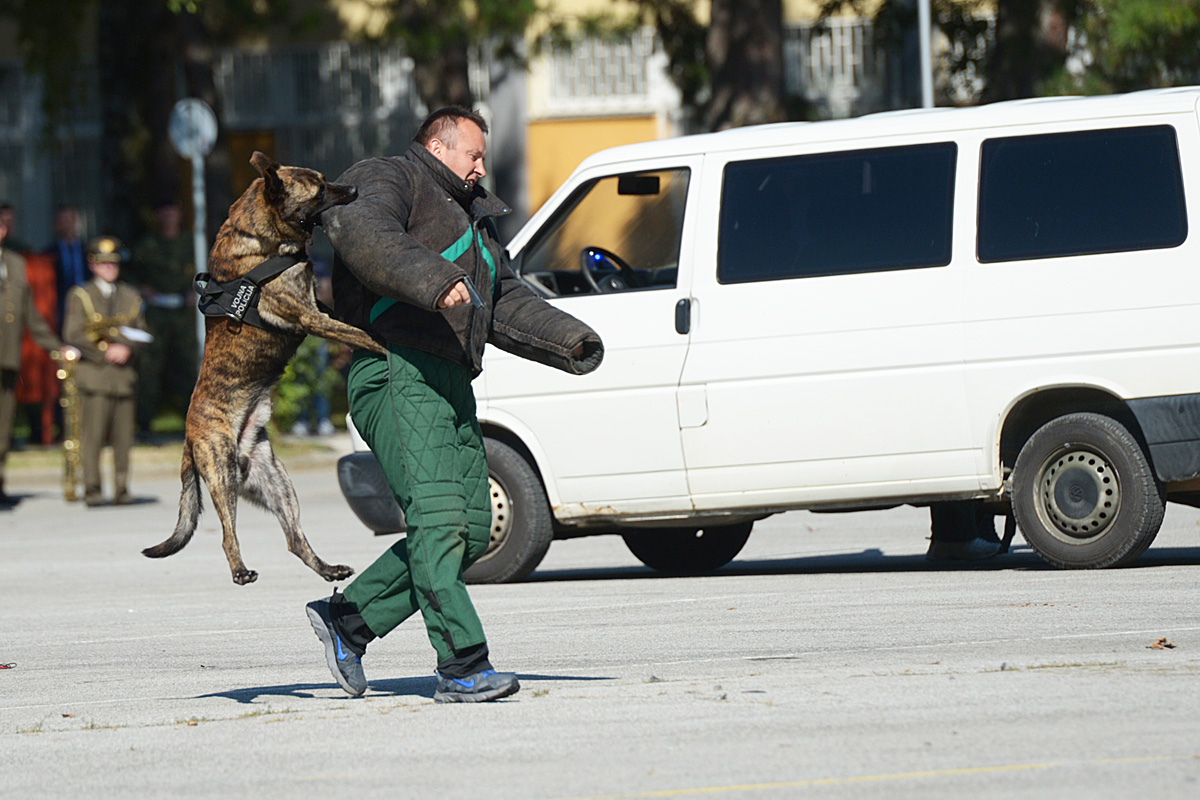 https://www.morh.hr/wp-content/gallery/obiljezavanje-25-obljetnice-osnivanja-vojne-policije-os-rh/0026_160824_25_obljet_vp_osrh.jpg