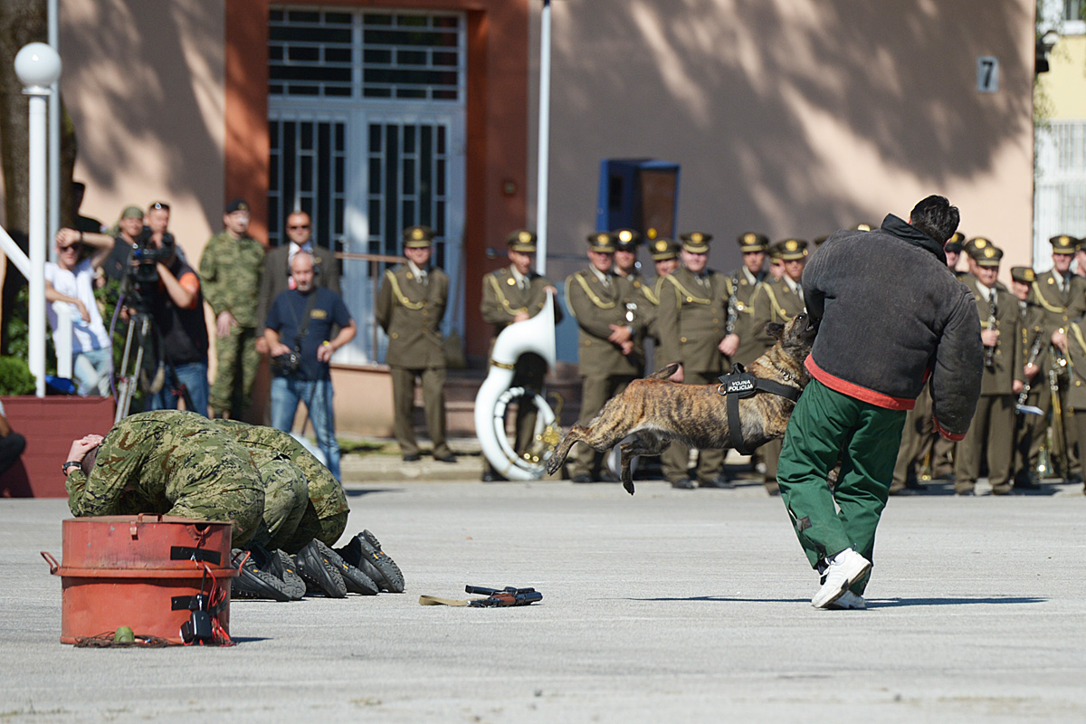 https://www.morh.hr/wp-content/gallery/obiljezavanje-25-obljetnice-osnivanja-vojne-policije-os-rh/0027_160824_25_obljet_vp_osrh.jpg