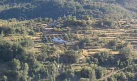 01_pozar_kostanje_studenci_01092010_v