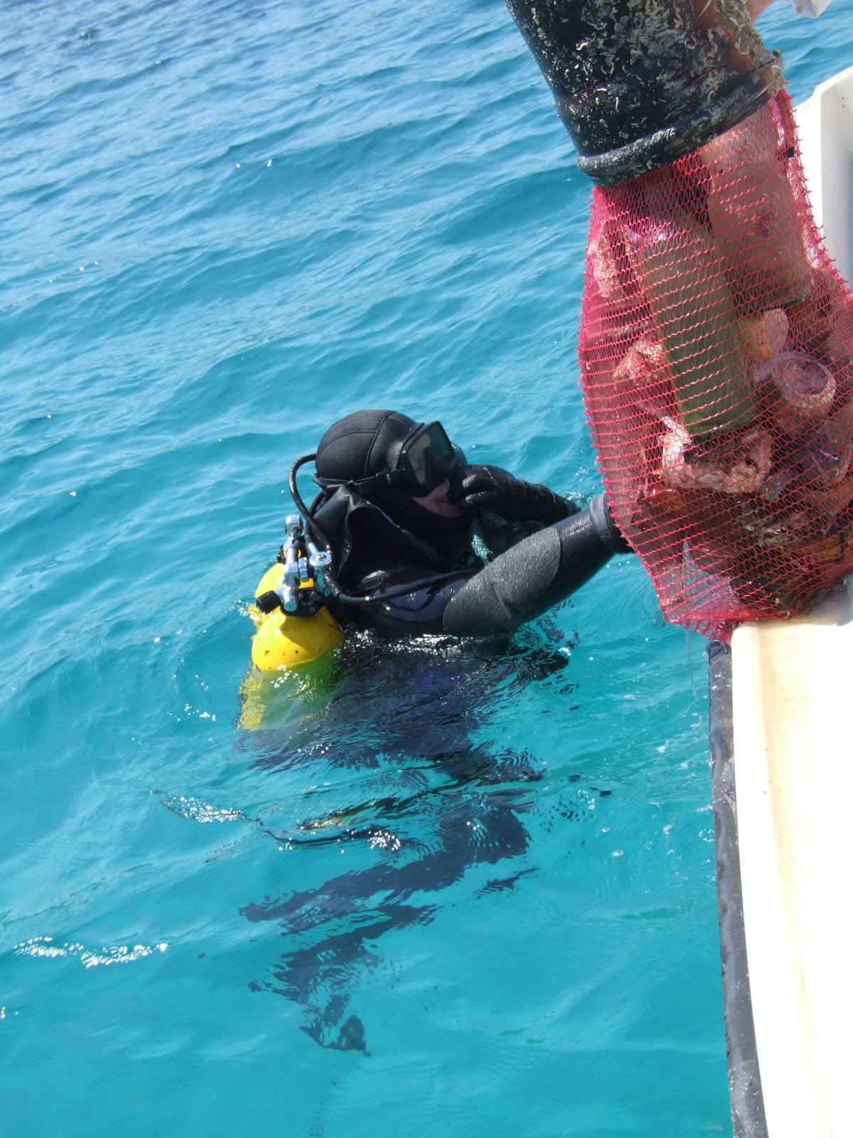 Slika https://www.morh.hr/wp-content/uploads/2017/10/Eko_akcija_solta_12052011_4_v.jpg