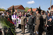 Slika https://www.morh.hr/wp-content/uploads/2017/10/borovo1_m.jpg