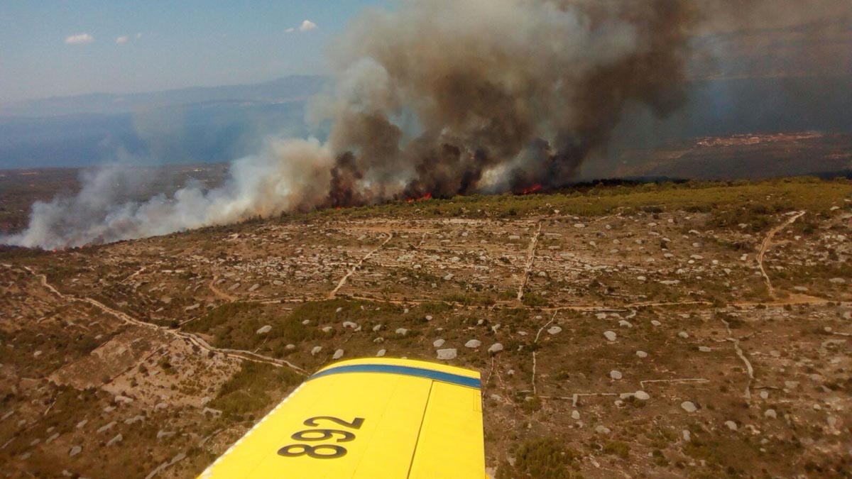 Slika https://www.morh.hr/wp-content/uploads/2017/10/brac1_12072017_v-3.jpg