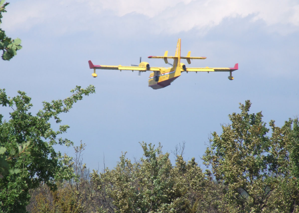 Slika https://www.morh.hr/wp-content/uploads/2017/10/brgbani_14102011_v-1.jpg