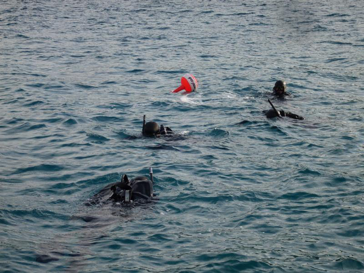 Slika https://www.morh.hr/wp-content/uploads/2017/10/bsd_ronioci_03112011_v.jpg