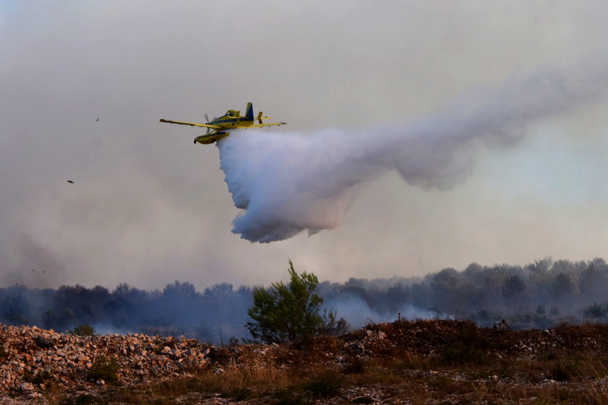 Slika https://www.morh.hr/wp-content/uploads/2017/10/crvenaluka_04082016_v-5.jpg