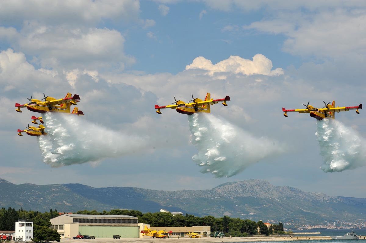 Slika https://www.morh.hr/wp-content/uploads/2017/10/divulje_15062011_v-1.jpg