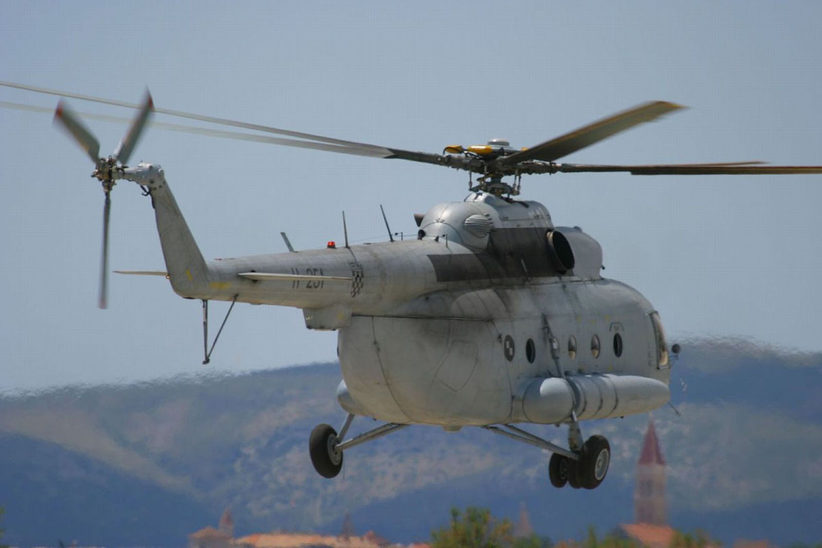 Slika https://www.morh.hr/wp-content/uploads/2017/10/divulje_15122010v-6.jpg