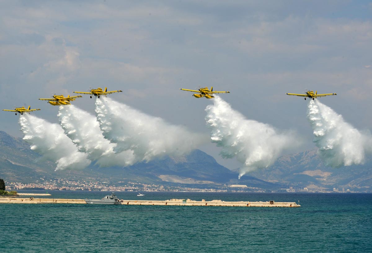 Slika https://www.morh.hr/wp-content/uploads/2017/10/divulje_9389_15062011_v.jpg