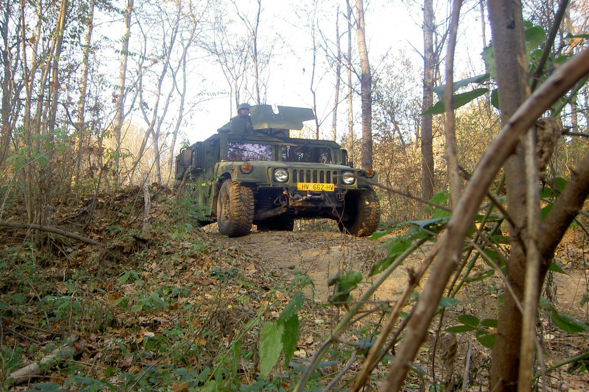 Slika https://www.morh.hr/wp-content/uploads/2017/10/gakovo_18112011_v.jpg