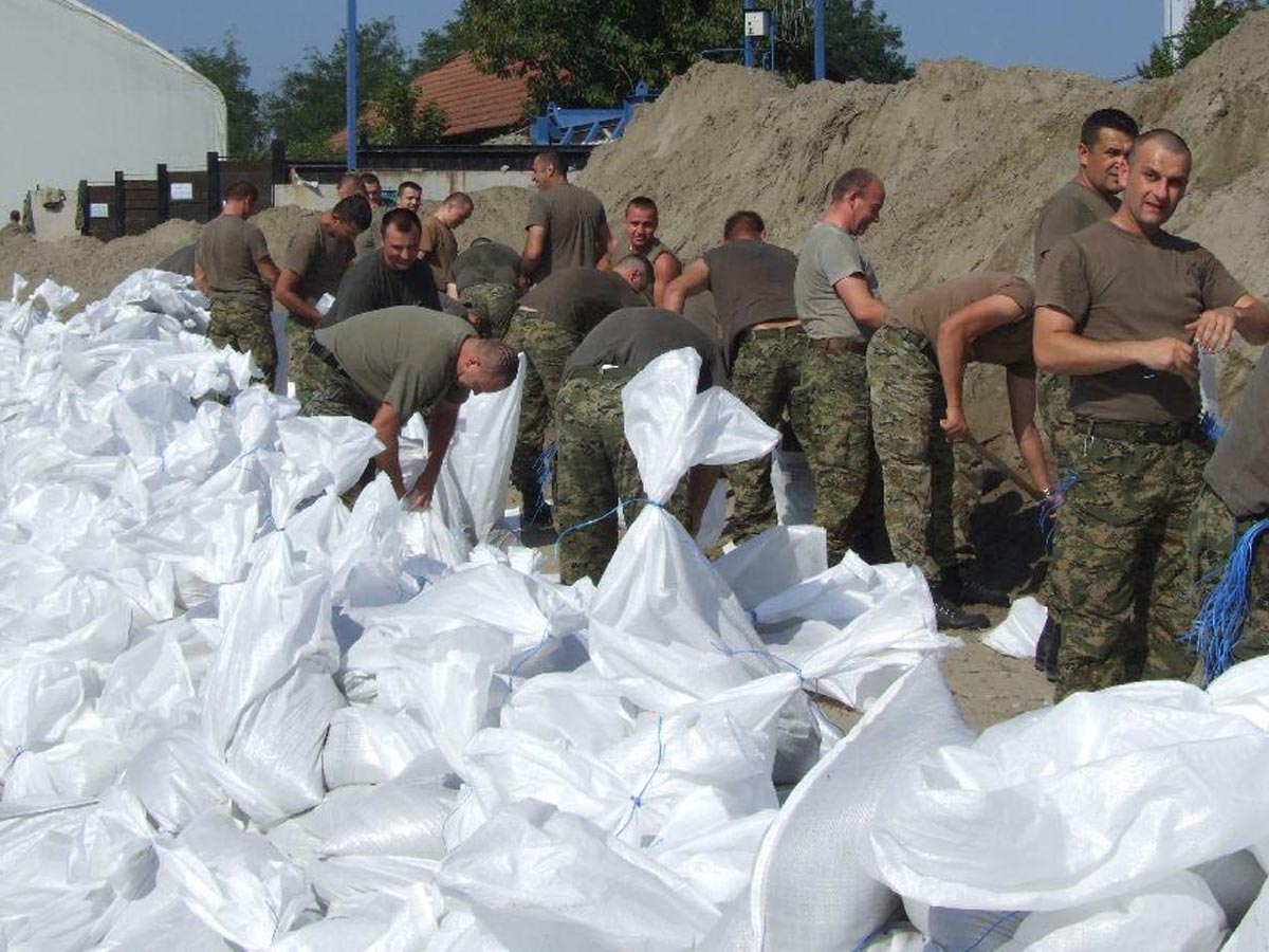 Slika https://www.morh.hr/wp-content/uploads/2017/10/gombr_21092014_v.jpg