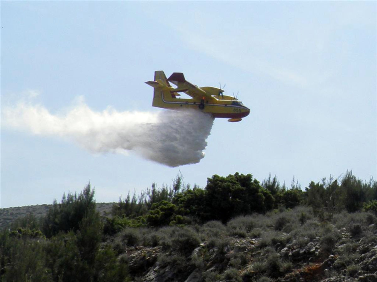 Slika https://www.morh.hr/wp-content/uploads/2017/10/grgur-2011_12052011_v.jpg