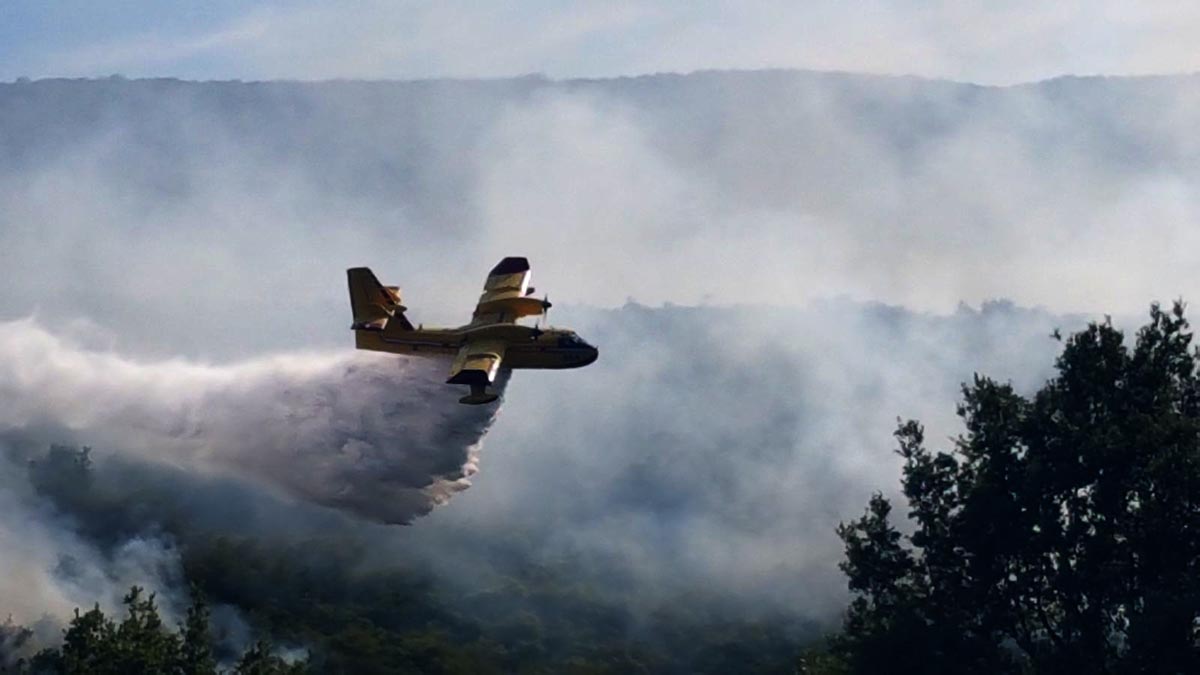 Slika https://www.morh.hr/wp-content/uploads/2017/10/kijevskibat1_19072017_v.jpg