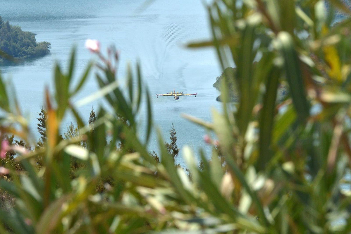 Slika https://www.morh.hr/wp-content/uploads/2017/10/kistanje_24082017_v.jpg