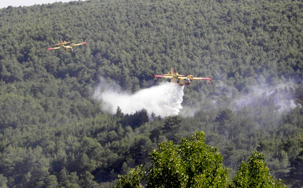 Slika https://www.morh.hr/wp-content/uploads/2017/10/konavle_29082011_v-1.jpg