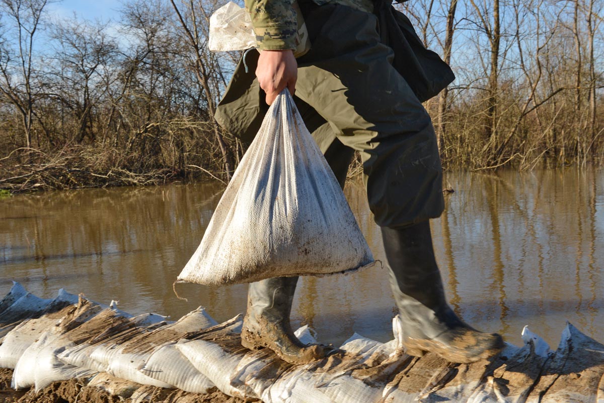 Slika https://www.morh.hr/wp-content/uploads/2017/10/letovanic_13022014-1_v.jpg