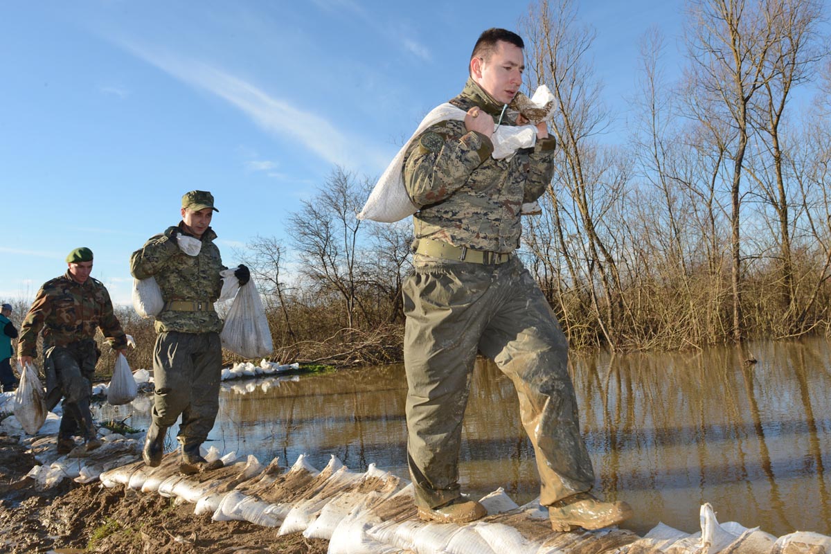 Slika https://www.morh.hr/wp-content/uploads/2017/10/letovanic_20022014_v.jpg