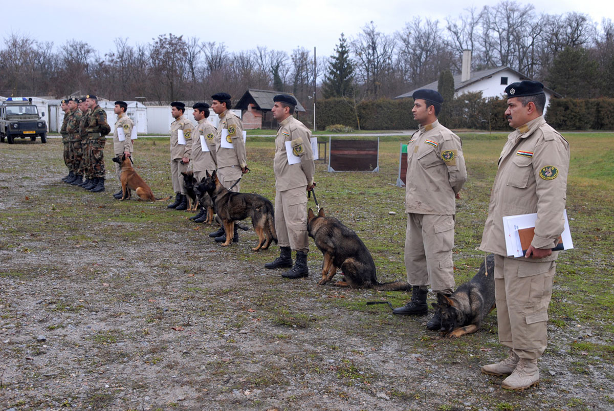 Slika https://www.morh.hr/wp-content/uploads/2017/10/obuka_pasa_09122009_v.jpg