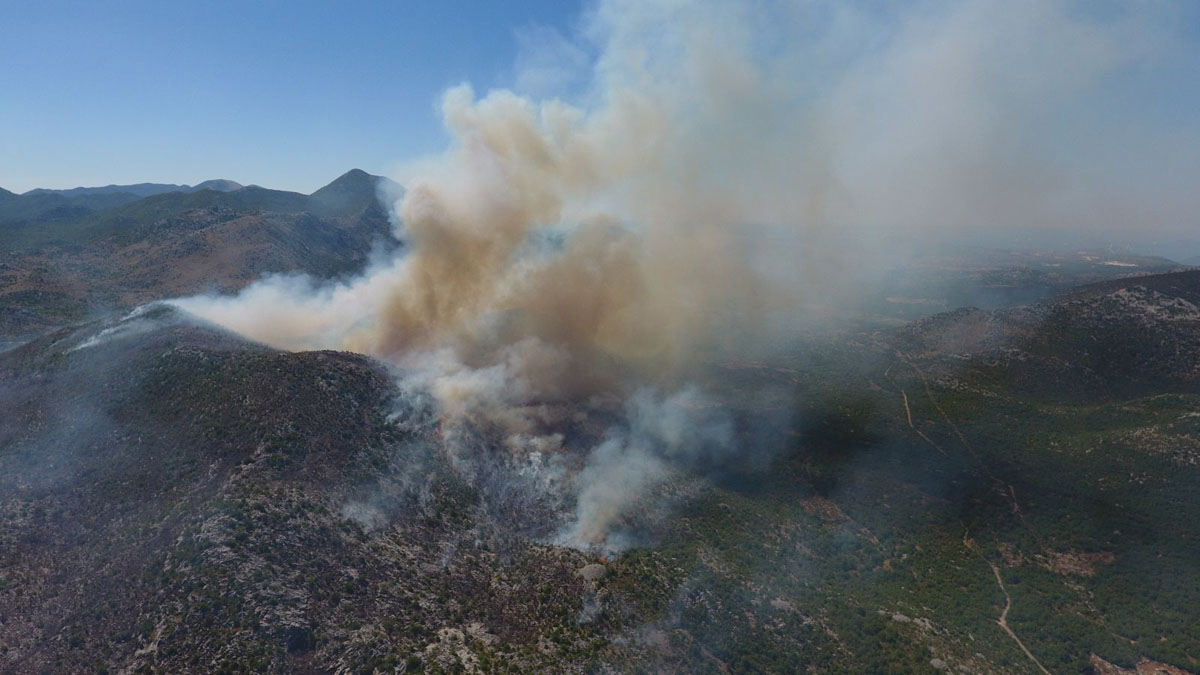 Slika https://www.morh.hr/wp-content/uploads/2017/10/pozar_05072017_v-1.jpg