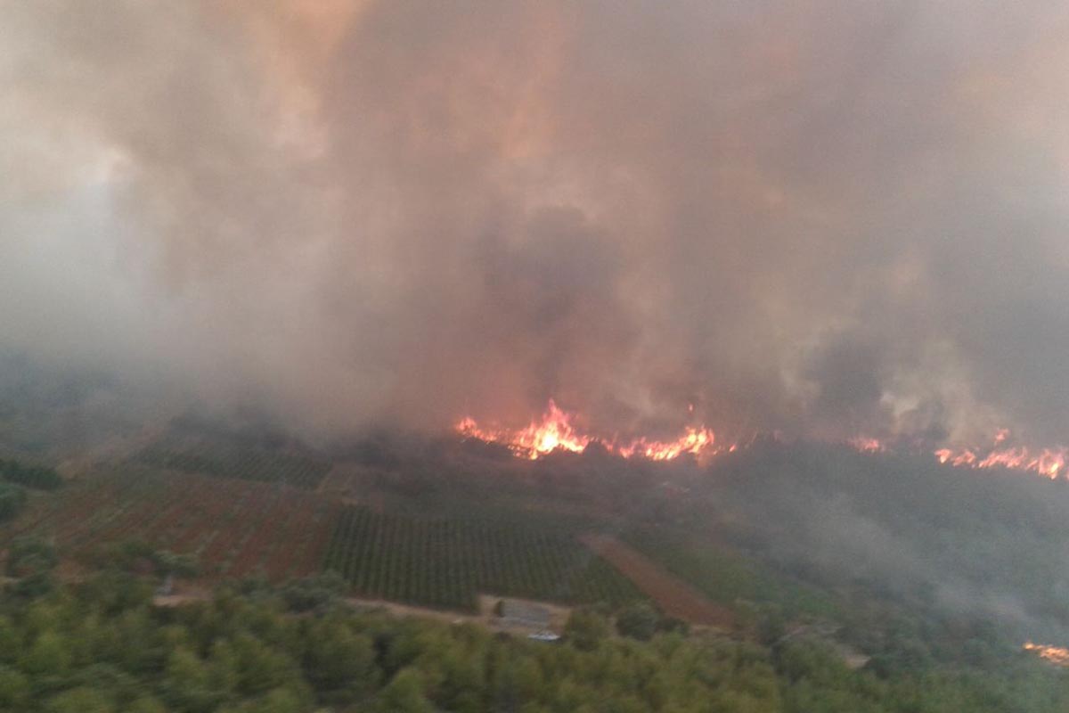 Slika https://www.morh.hr/wp-content/uploads/2017/10/pozar_korcula_23072015_v-1.jpg