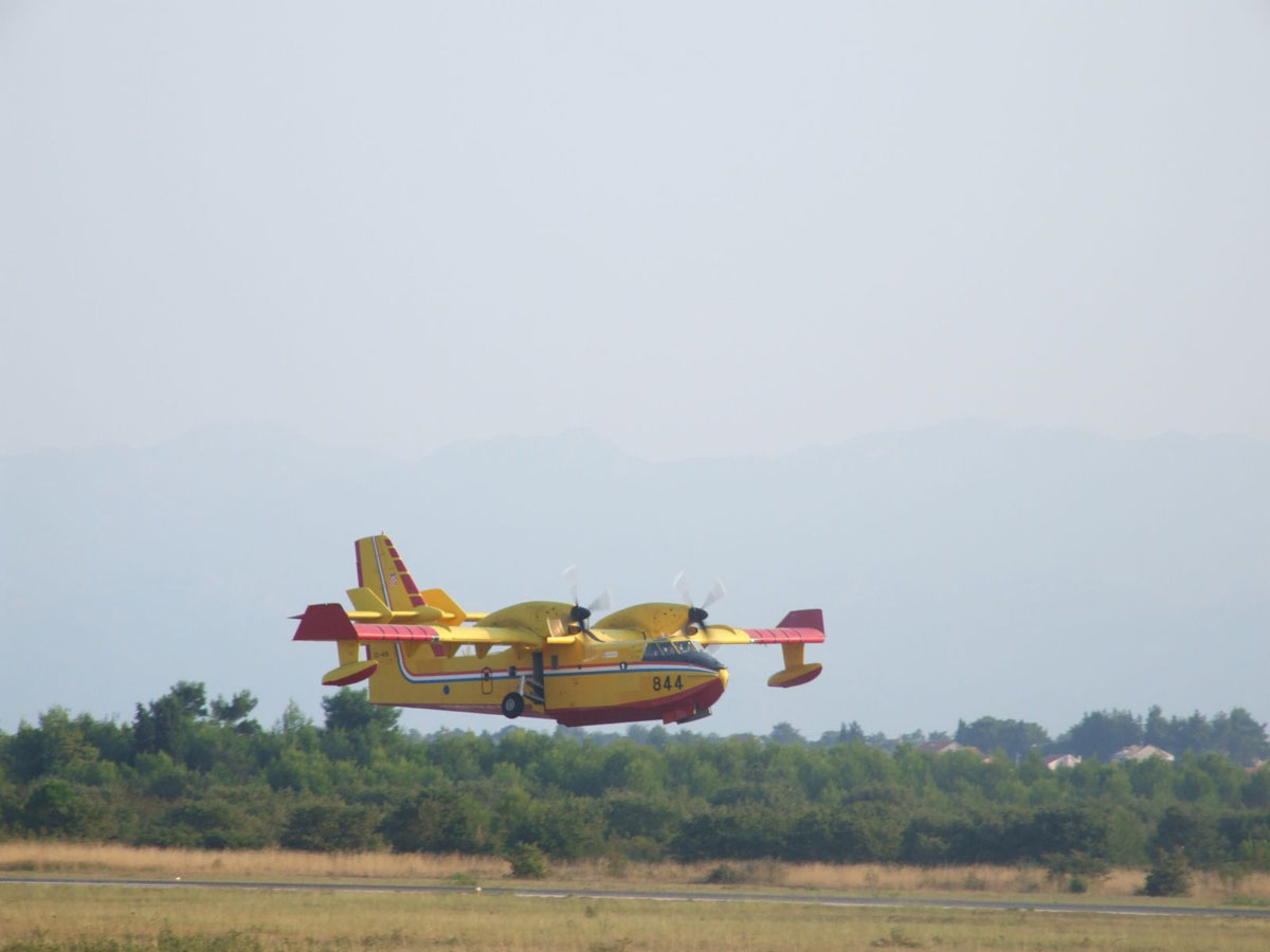 Slika https://www.morh.hr/wp-content/uploads/2017/10/raslina_01092016_v.jpg