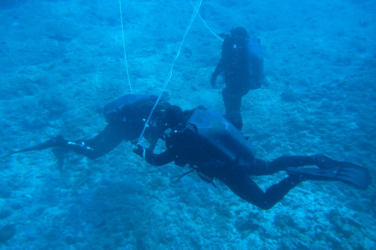 Slika https://www.morh.hr/wp-content/uploads/2017/10/ronioci_22082012_v.jpg