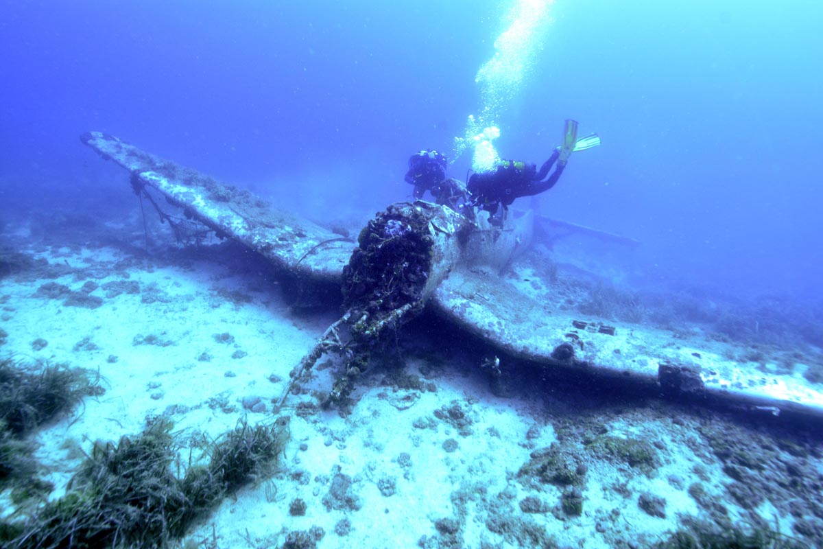 Slika https://www.morh.hr/wp-content/uploads/2017/10/stuka_25092014_v.jpg