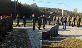 tdi_03112015_1