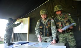 topnici_gombr_04052012_02