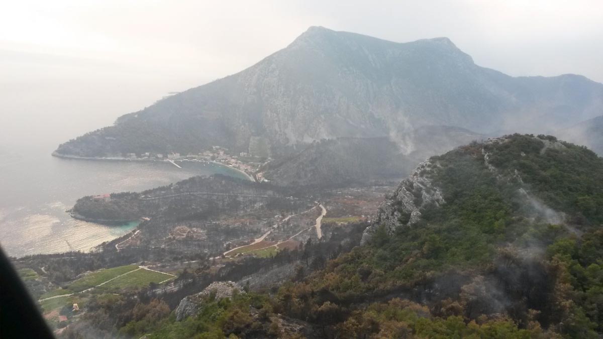 Slika https://www.morh.hr/wp-content/uploads/2017/10/trstenik_24072015_v.jpg