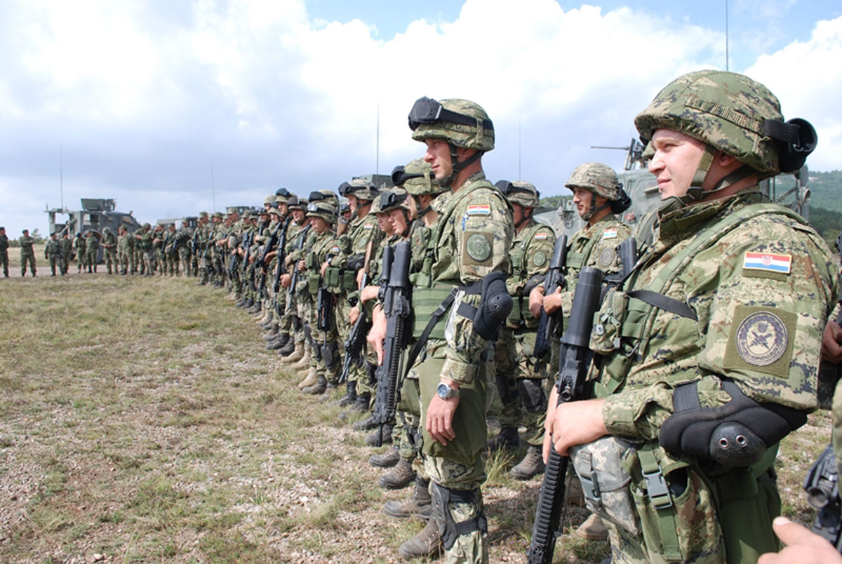 Slika https://www.morh.hr/wp-content/uploads/2017/10/vuk_16092015_v.jpg