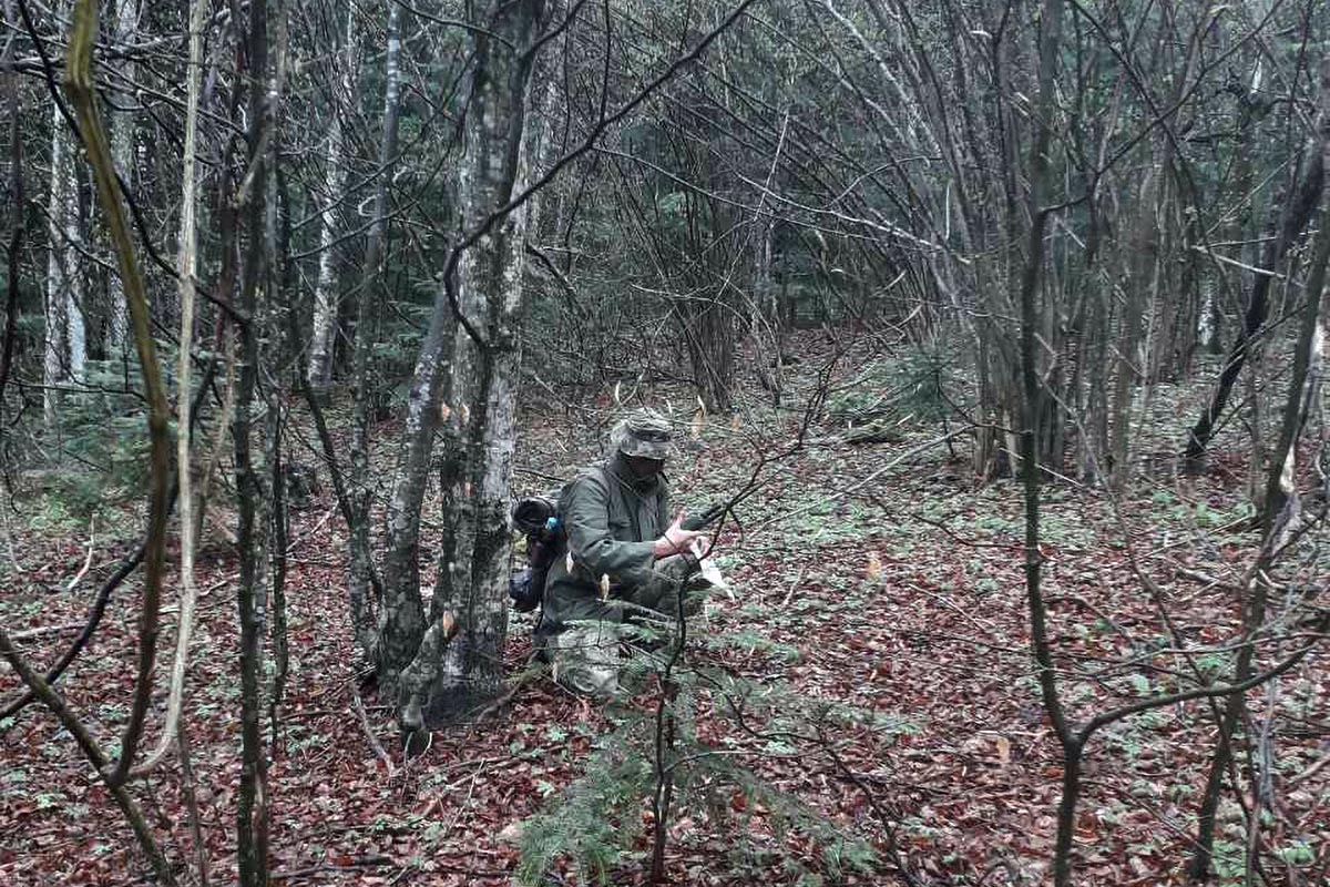 Slika https://www.morh.hr/wp-content/uploads/2019/04/obuka_prezivnjavanja_hrvatska_vojska_120419_v.jpg