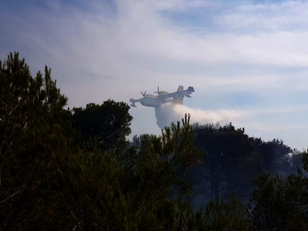 Slika https://www.morh.hr/wp-content/uploads/2019/07/pirovac_08072019_1-1024x768.jpg