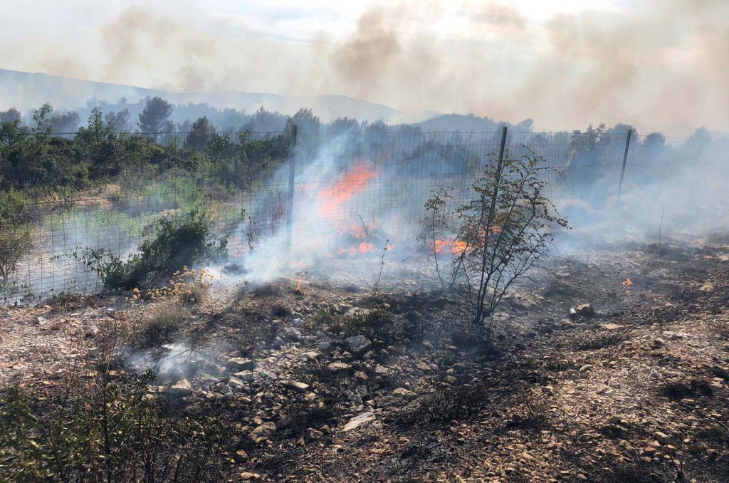 Slika https://www.morh.hr/wp-content/uploads/2019/07/pozar_juzna_dubrava_sibenik_hv_27072019-1024x678.jpeg