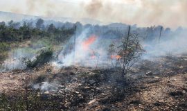 Kopnene snage Hrvatske vojske angažirane u gašenju požara