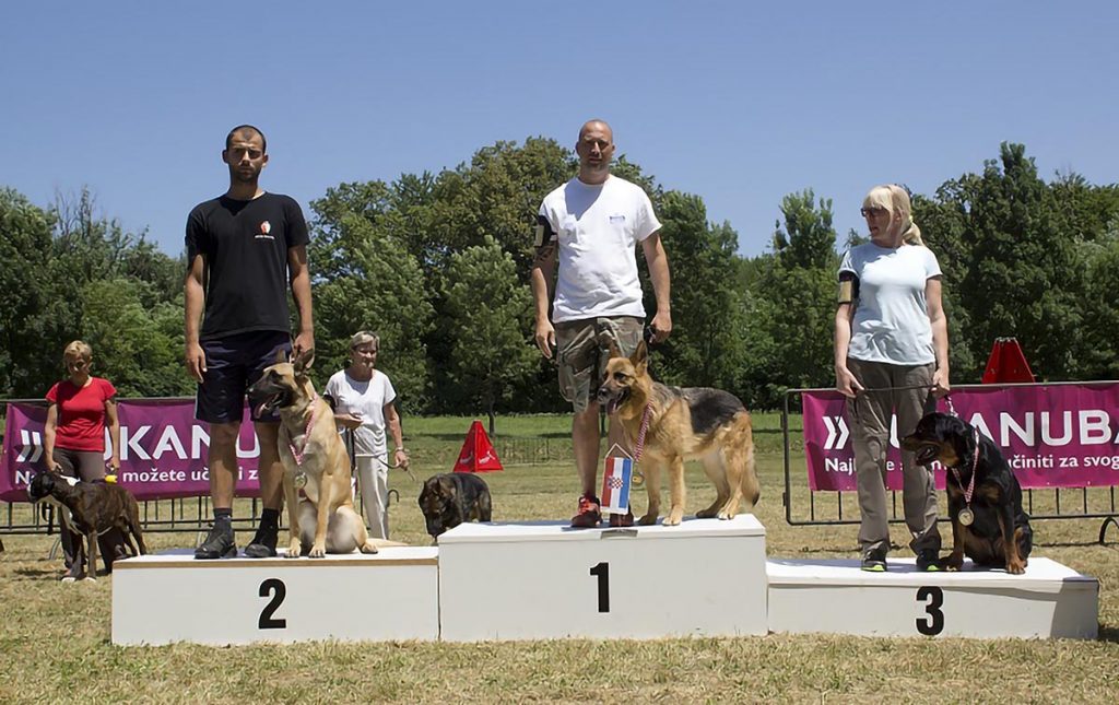 Slika https://www.morh.hr/wp-content/uploads/2019/07/sportska_kinologija_04072019_v-1024x645.jpg