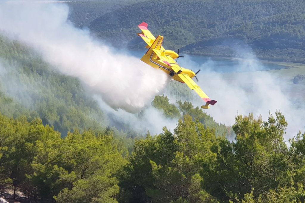 Slika https://www.morh.hr/wp-content/uploads/2019/08/dubravice3_09082019-1024x683.jpg