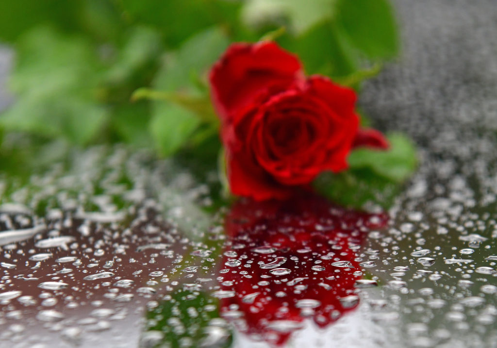 Slika https://www.morh.hr/wp-content/uploads/2020/05/wil_1881-1024x717.jpg