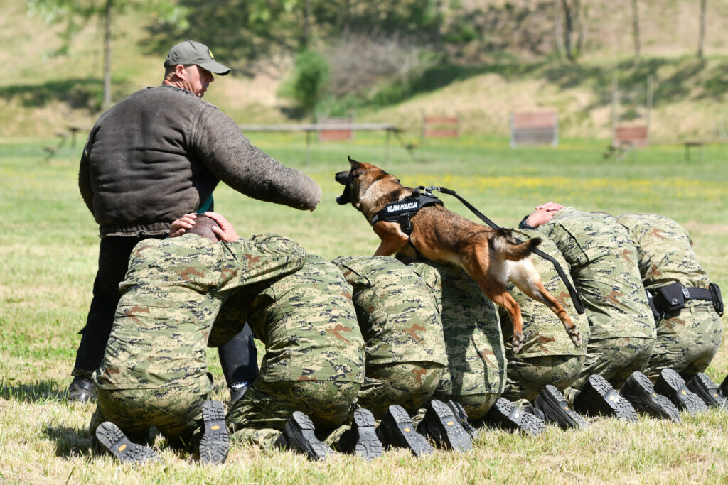 Slika https://www.morh.hr/wp-content/uploads/2022/05/2022-05-11-obljetnica-centa-za-obuku-pasa-1-1024x683.jpg